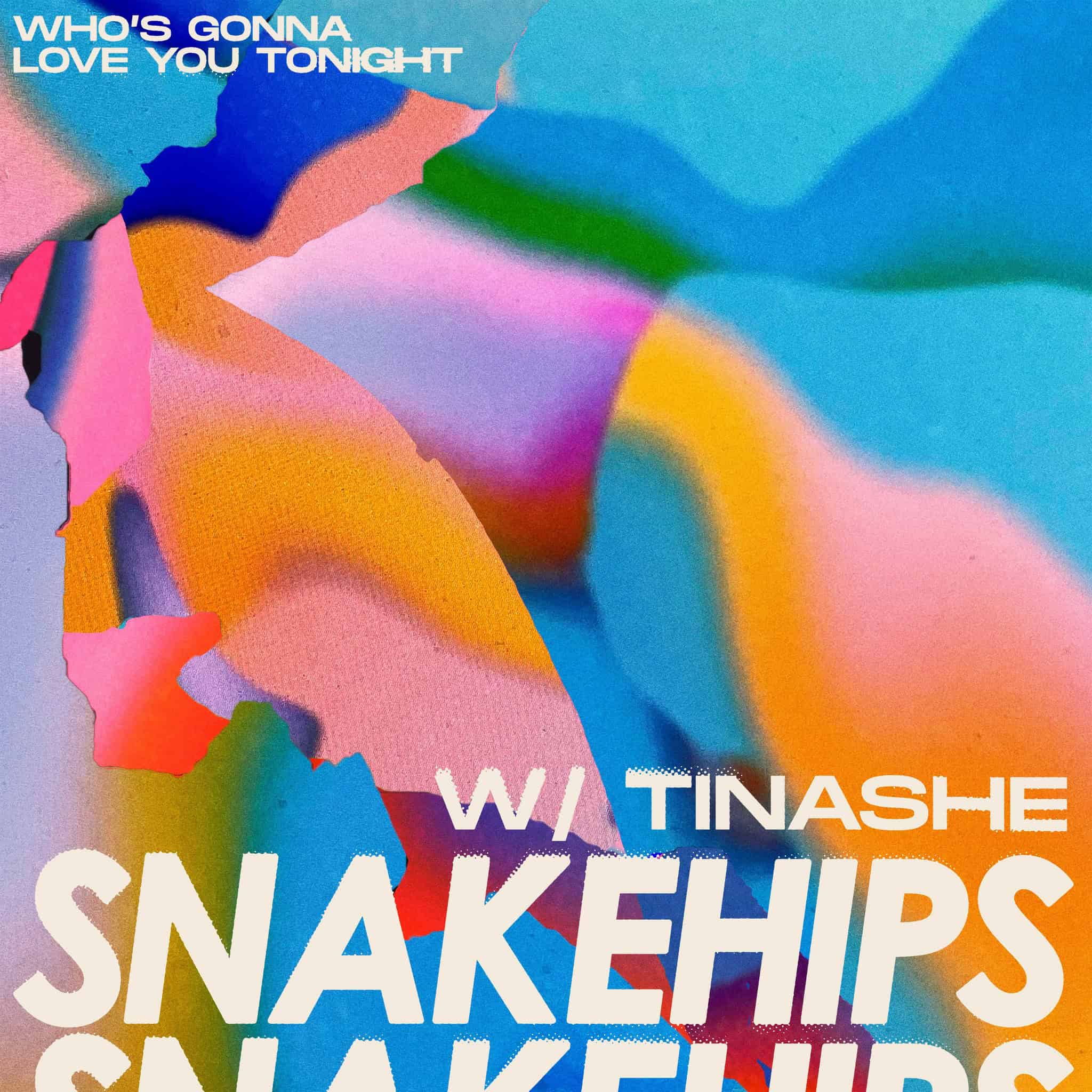 Who's Gonna Love You Tonight